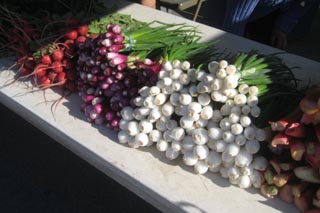 Onions in the Sunshine
