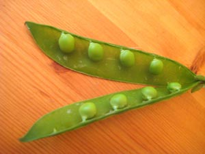 Peas