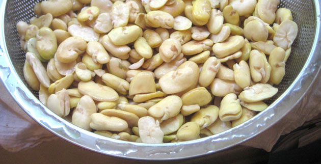 Beans Beans, The Musical Fruit! Beans Beans, The Musical Fruit!