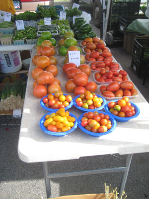 Tomatoes are getting serious Tomatoes are getting serious