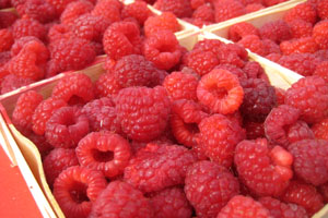 Won't have any trouble eating these though