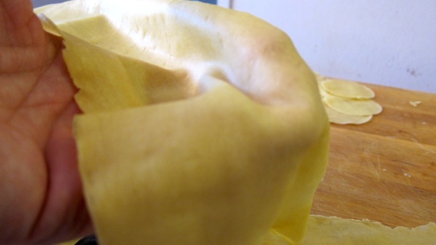 Note rough edges. Note also silky transparency.