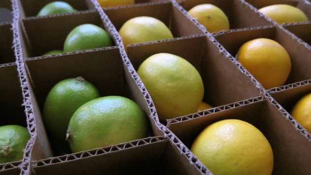 boxed limes and lemons
