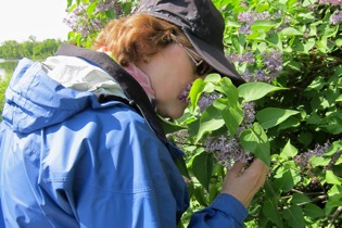 a picture of a woman smelling the flowers on a bush in early May