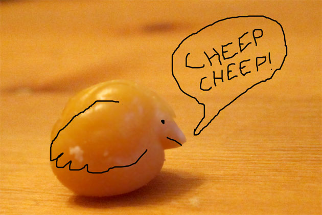 a chickpea