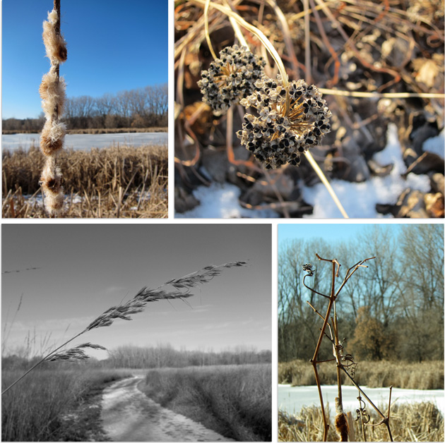 textures winter walk details