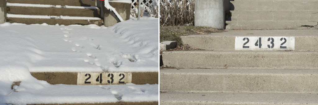 Images of Minnesota in spring steps in snow and sun